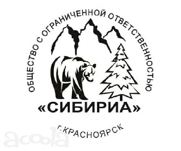 Рассмотрим работу для Самосвалам SCANIA 15 штук.